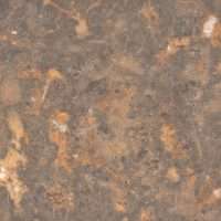 EW Gold - Brushed