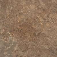 EW Gold - Polished